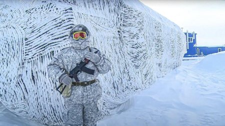 Панцирь-с арктический