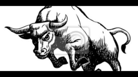 Бык рисунок карандашом