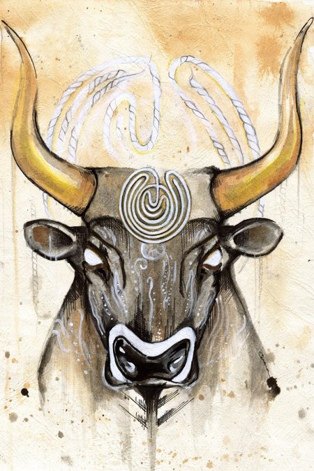 Телец рисунок