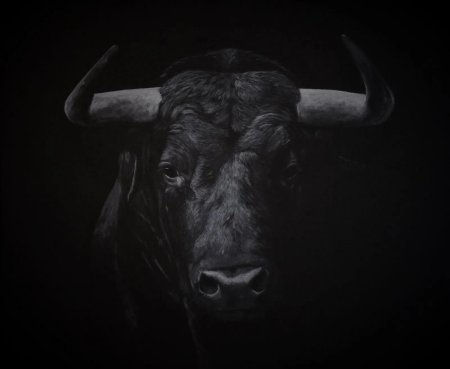Бык на черном фоне