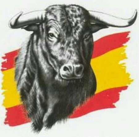 Символ испании бык