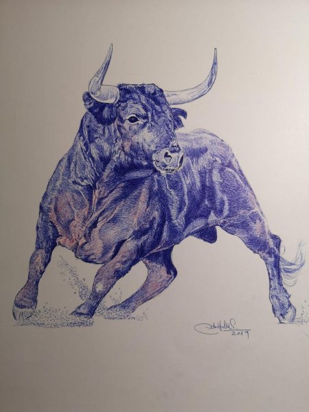 Бык эскиз