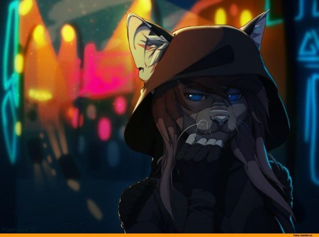 Лис в капюшоне