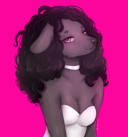 Фурри пудель