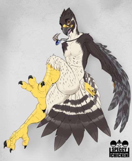 Фурри птица