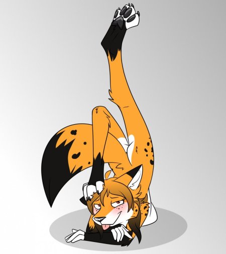 Фурри лиса девушка