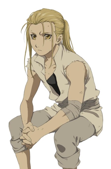 Стальной алхимик ван хоэнхайм