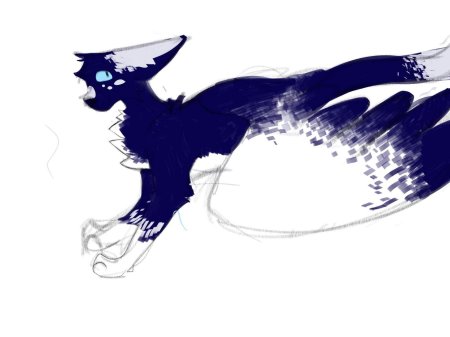 Ласточка коты воители