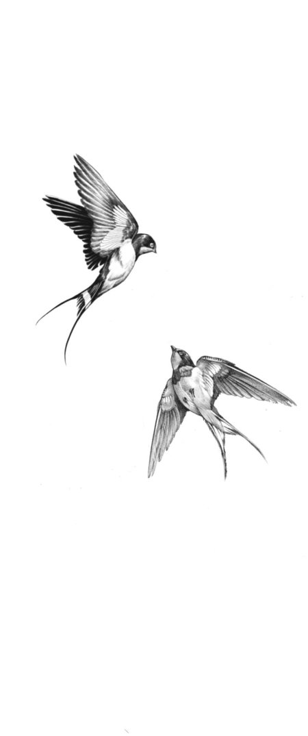 Swallow bird tattoo