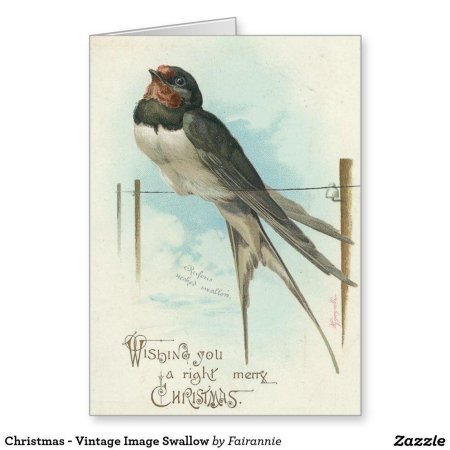 Винтажные птицы