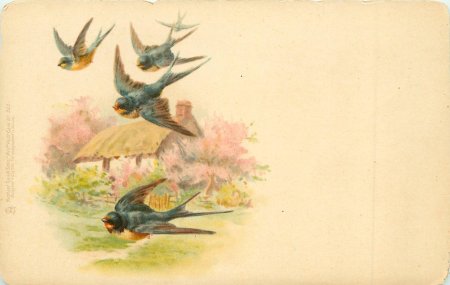 Ласточка открытка