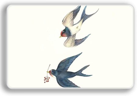 Ласточка для детей