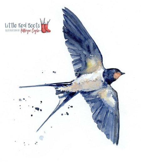 Ласточка акварель