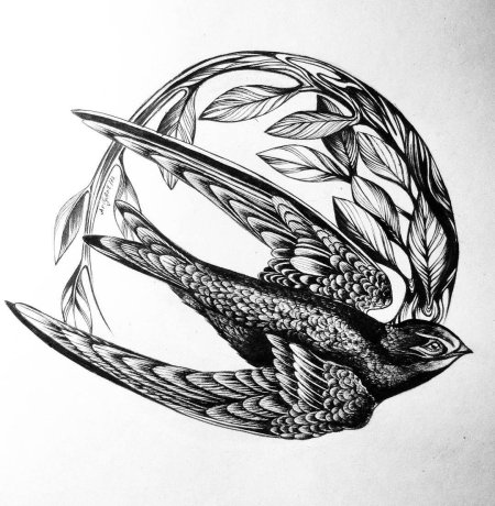 Ласточка эскиз тату