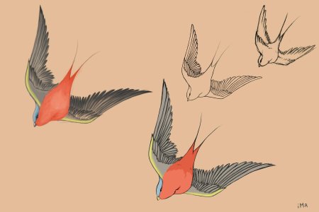 Ласточка тату эскиз