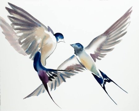 Ласточка акварель