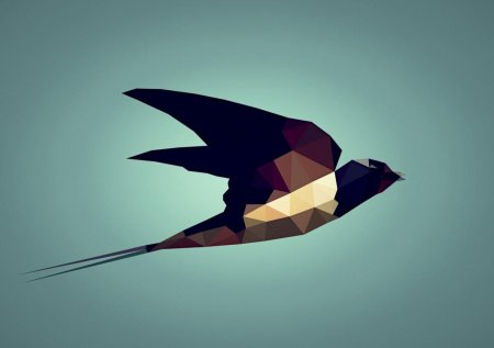 Крокотак ласточка