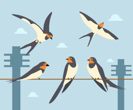 Ласточка вектор