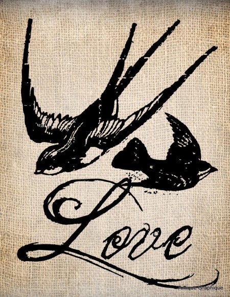 Чарльз войси ласточки