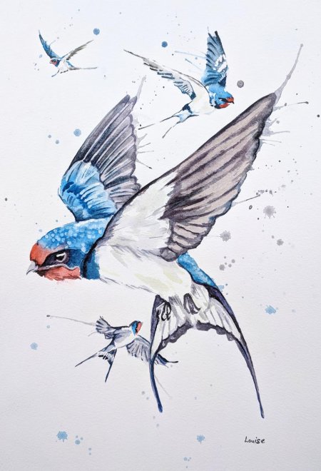 Ласточка акварель