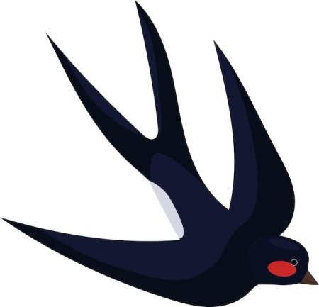 Ласточка рисунок для детей