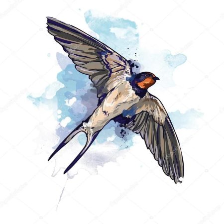 Акварельные ласточки