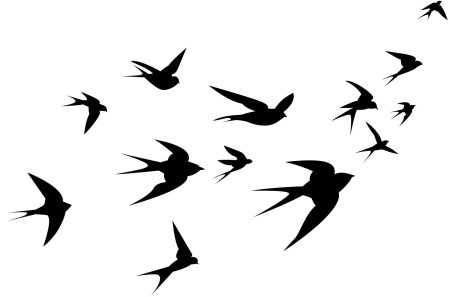 Ласточка силуэт