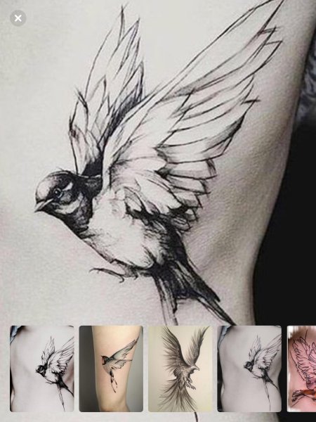 Тату птица эскиз