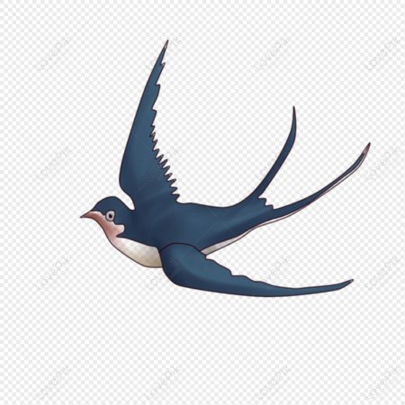 Красивая ласточка