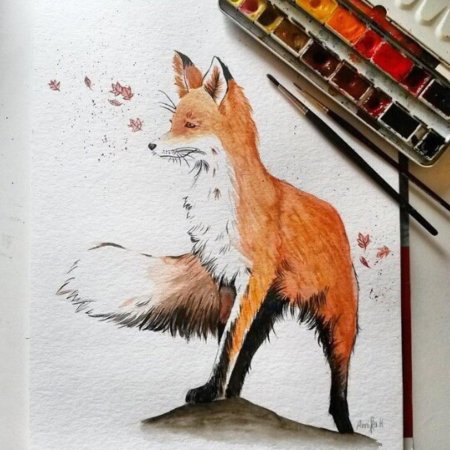 Красивые рисунки лисы