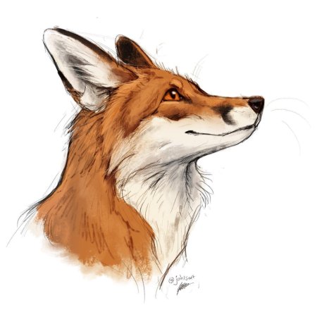 Хитрая лиса рисунок