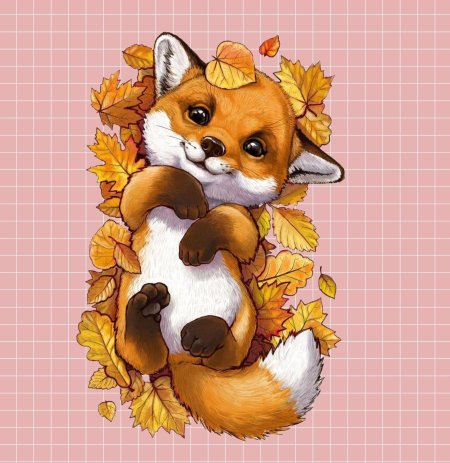 Рисунки лисичек