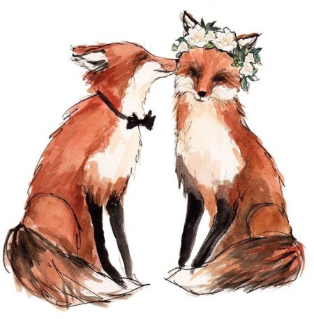 Лисы арт