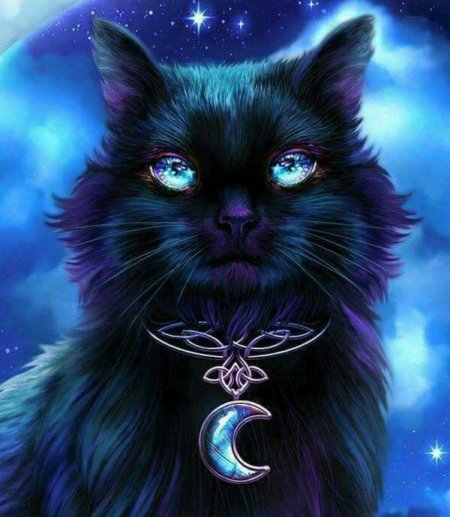 Магическая кошка