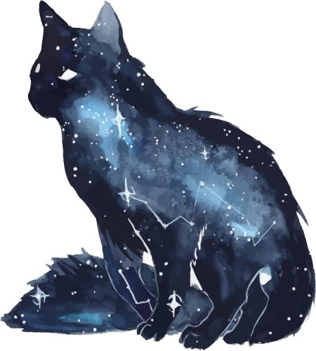 Созвездие лисичка