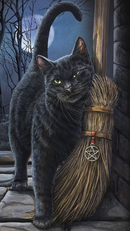 Чëрная кошка