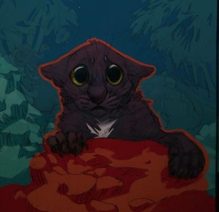 Коты воители звездоцап