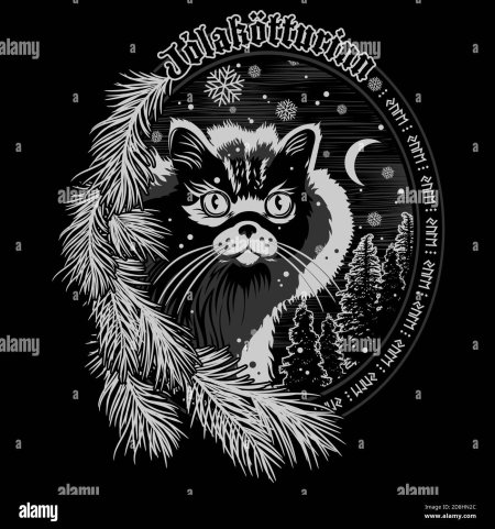 Йоль йольский кот