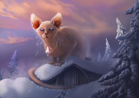 Йольский кот