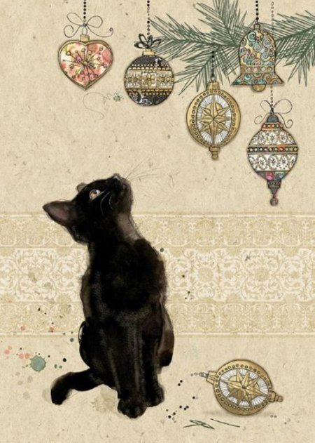 Кошки jane crowther