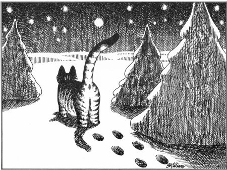 Бернард клибан коты