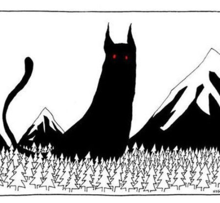 Хэллоуин коты