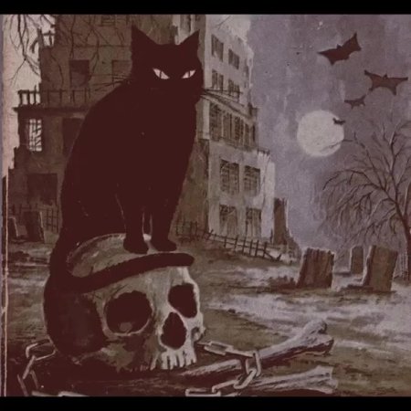 Черный кот страшный