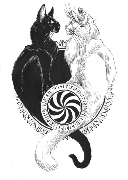 Кельтский кот