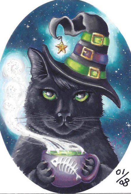 Хэллоуин кот