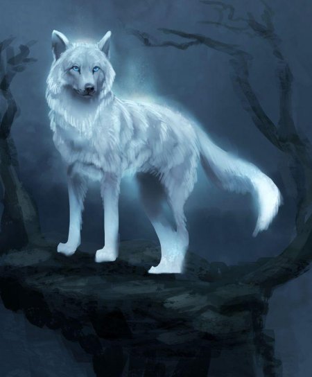 Wolf spirit