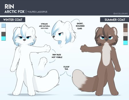 Фурри песец