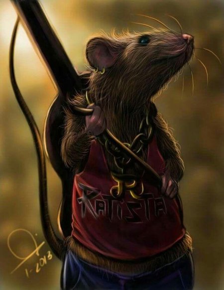 Крутая крыса