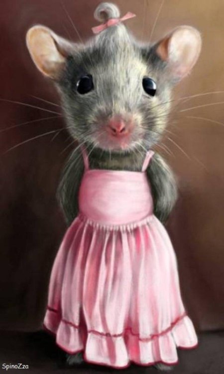 Красивая мышка