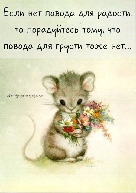 Мышка милая